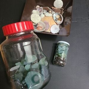 Northern Japan SeaGlass & Shells